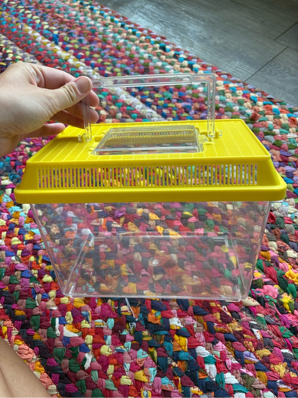 PLASTIC BUG COLLECTION CONTAINER